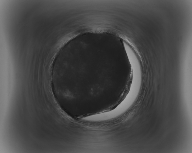 X0000086090673200704132126