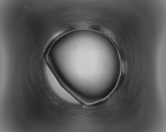 X0000086090675200704132126