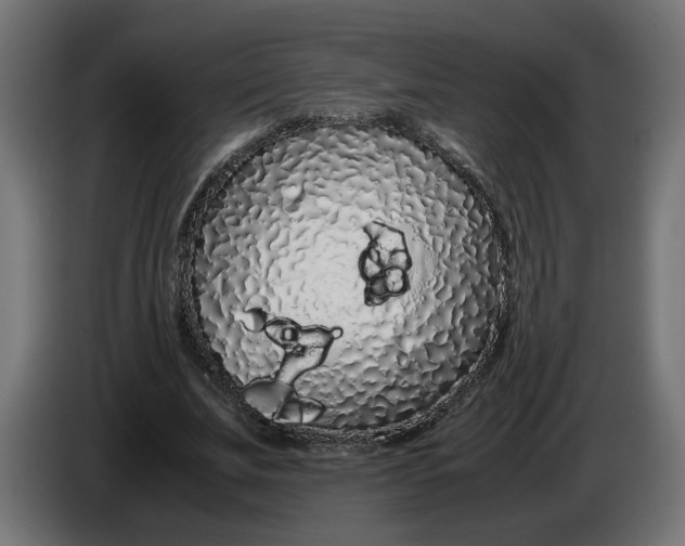 X0000086090679200704132126