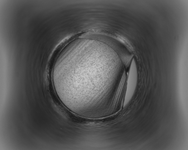 X0000086090680200704132126