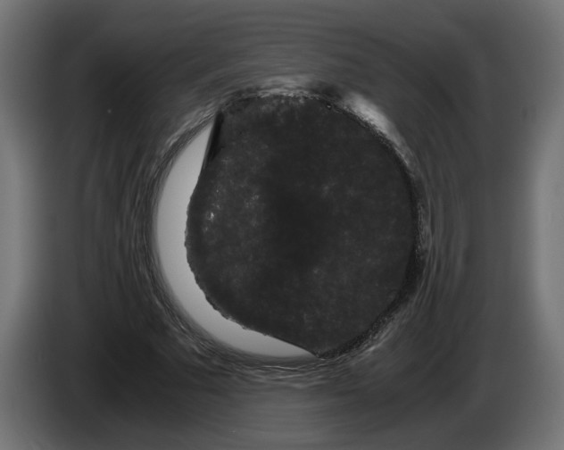 X0000086090681200704132126