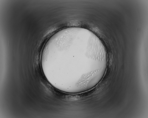 X0000086090683200704132126