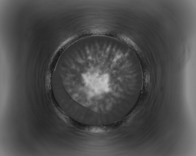 X0000086090684200704132126