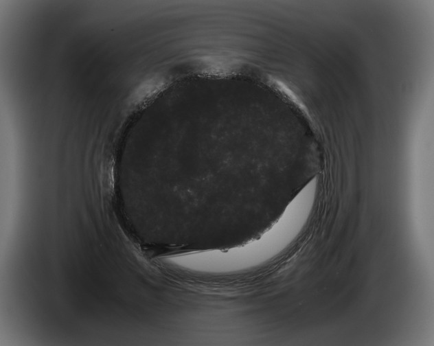 X0000086090685200704132126