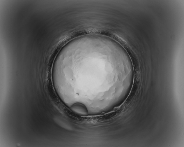 X0000086090687200704132126