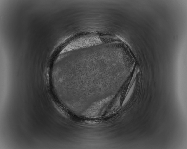 X0000086090688200704132126