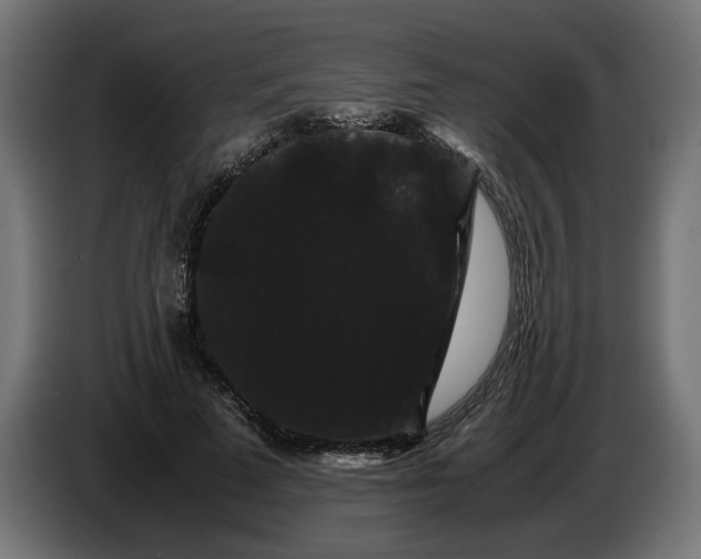 X0000086090689200704132126