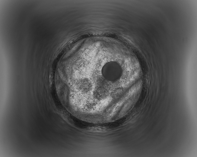 X0000086090691200704132126