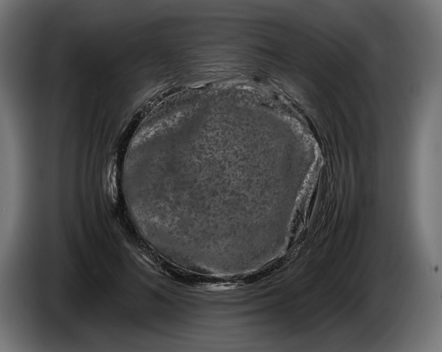 X0000086090692200704132126