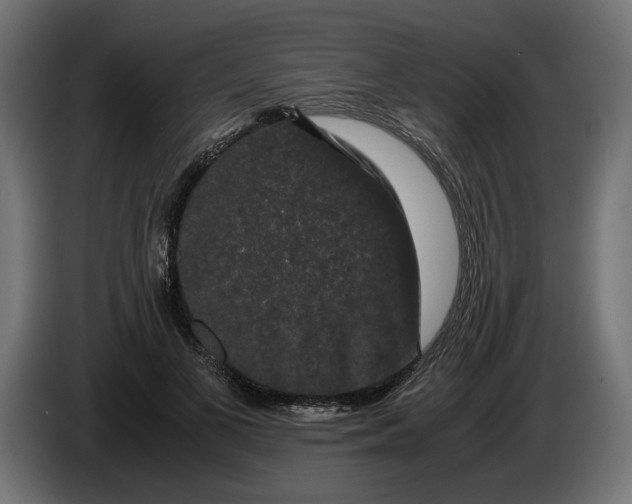 X0000086090693200704132126