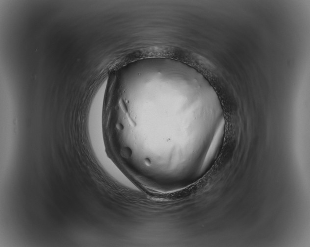 X0000086090695200704132126