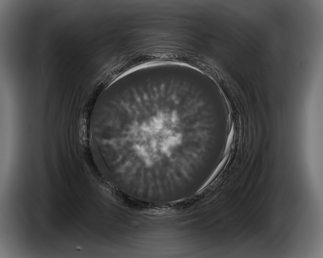 X0000086090696200704132126