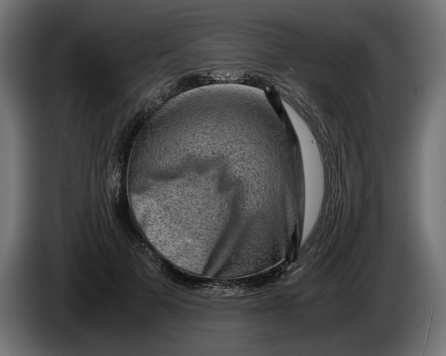 X0000086090697200704132126