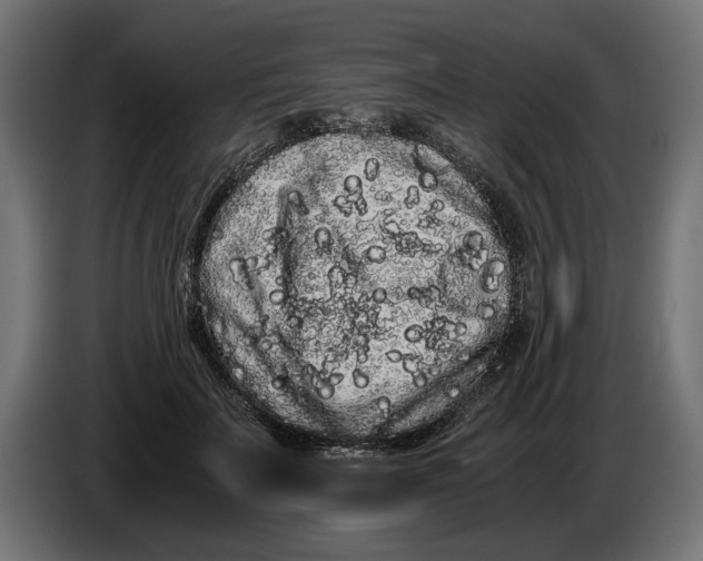 X0000086090699200704132126