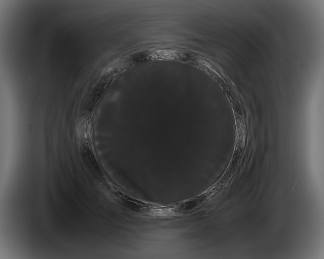 X0000086090701200704132126