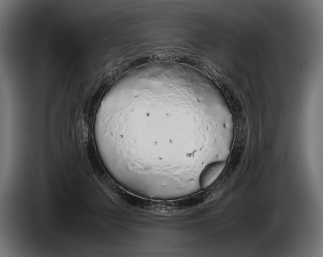 X0000086090703200704132126