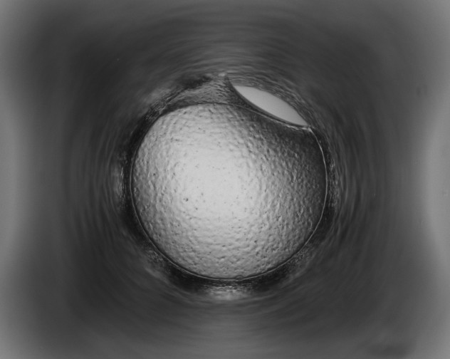 X0000086090704200704132126