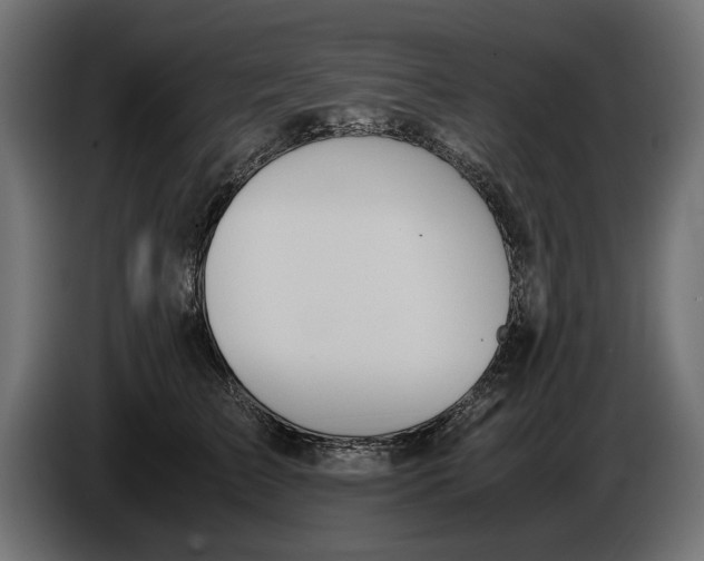 X0000086090709200704132125