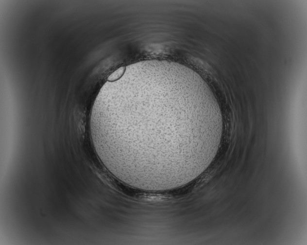 X0000086090710200704132125