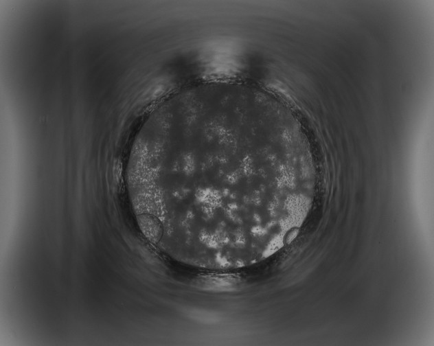 X0000086090711200704132125