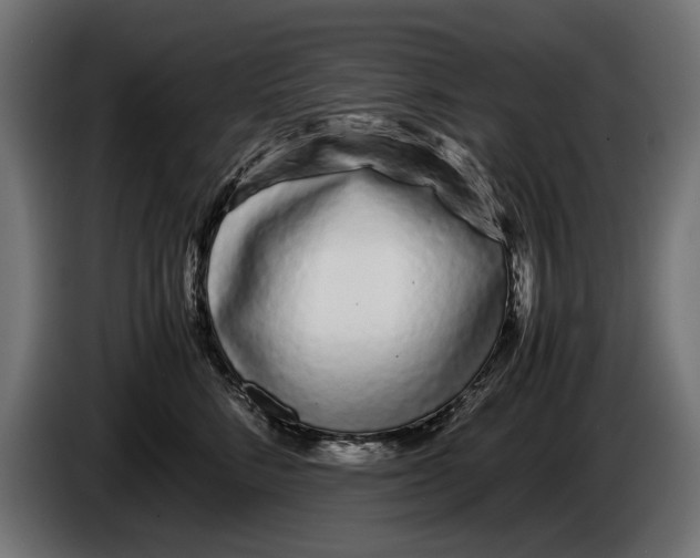 X0000086090712200704132125