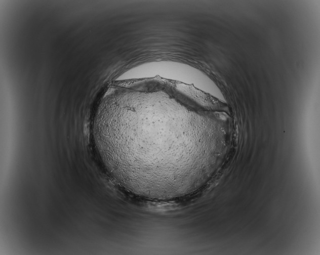 X0000086090716200704132125