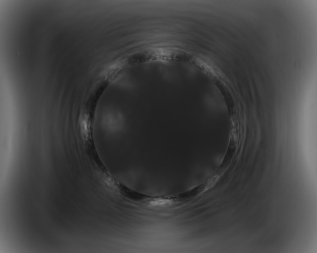 X0000086090718200704132125