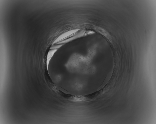 X0000086090720200704132125