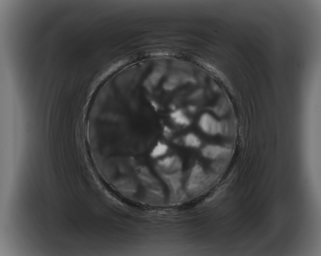 X0000086090721200704132125