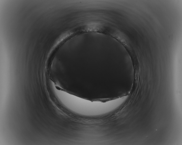 X0000086090722200704132125