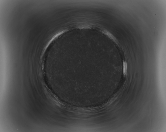 X0000086090723200704132125