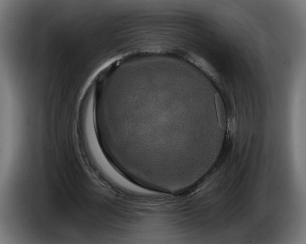 X0000086090724200704132125