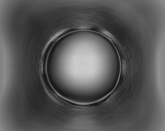 X0000086090726200704132125