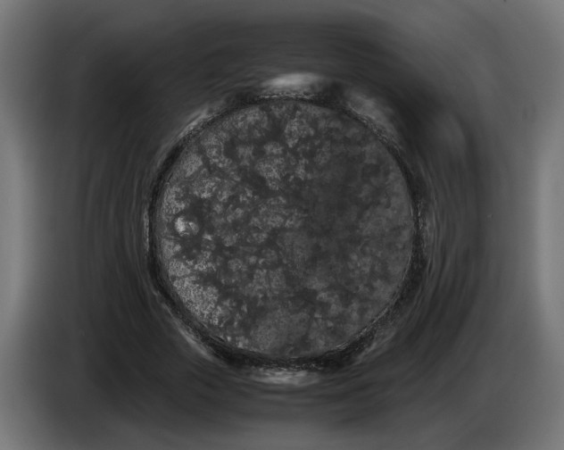 X0000086090729200704132125