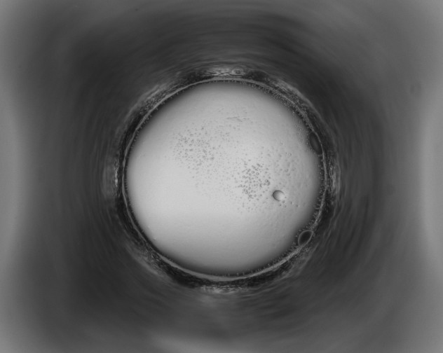 X0000086090733200704132125