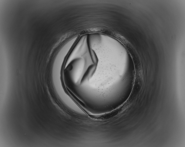 X0000086090734200704132125