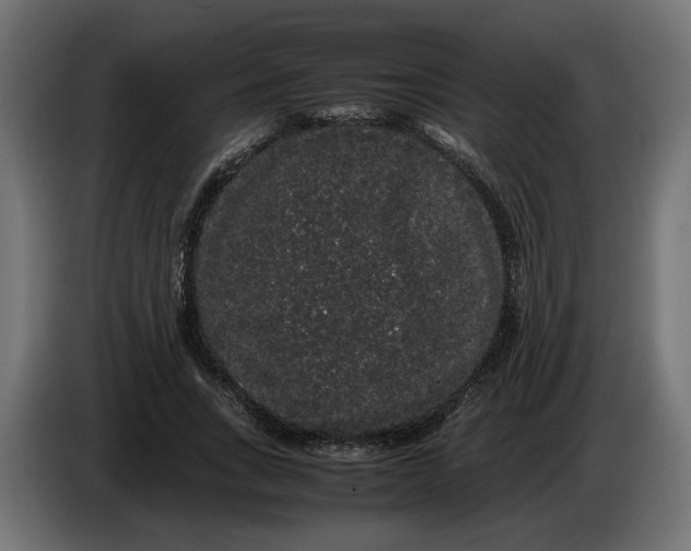 X0000086090735200704132125