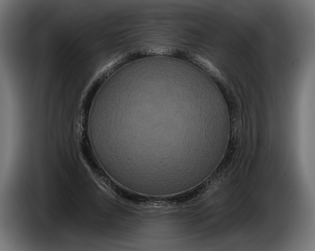 X0000086090736200704132125