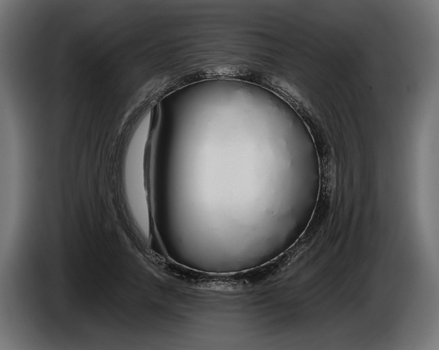 X0000086090738200704132125