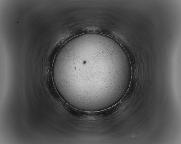 X0000086090739200704132125