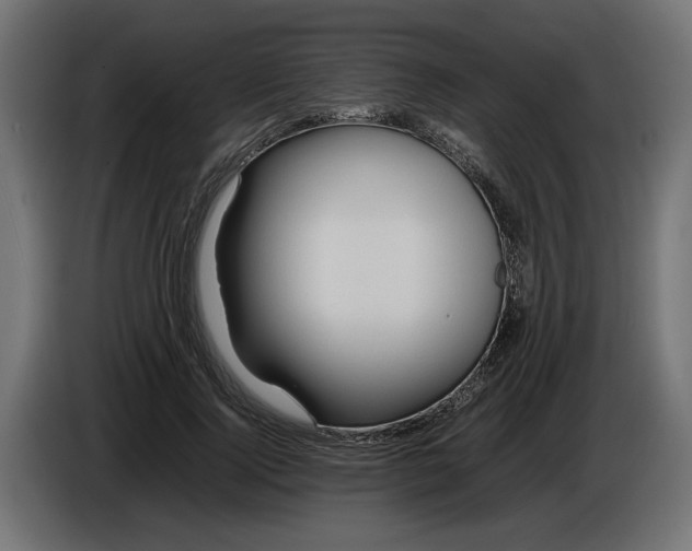 X0000086090740200704132125