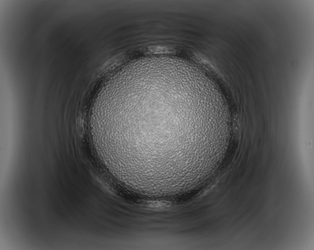 X0000086090741200704132125