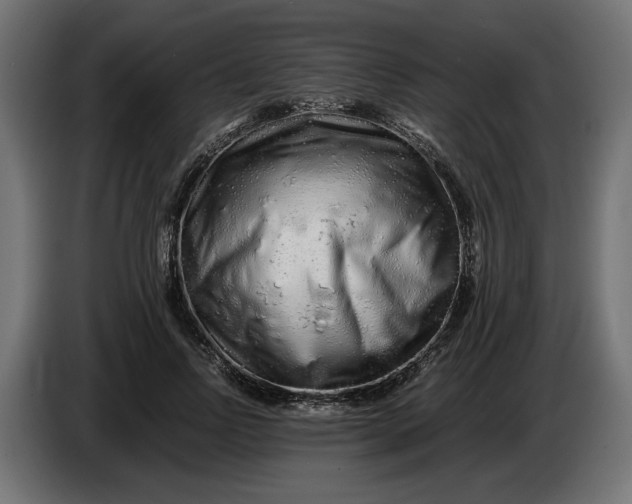 X0000086090742200704132125