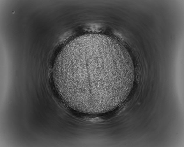 X0000086090747200704132125