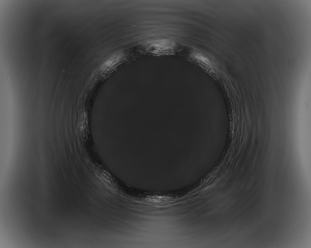 X0000086090748200704132125