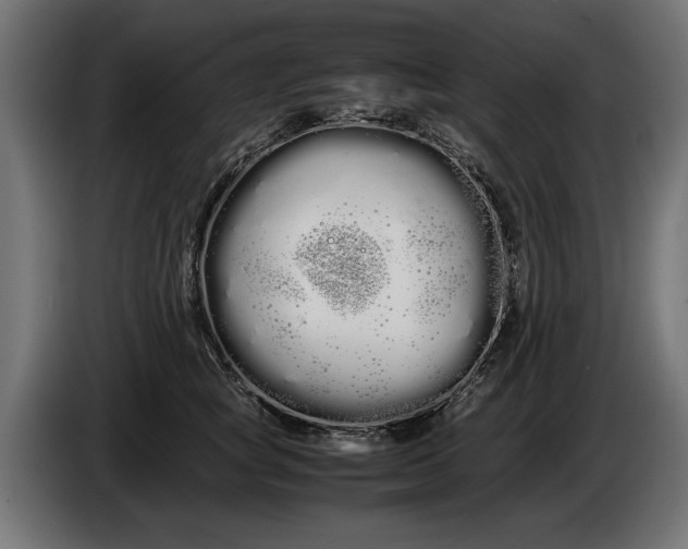 X0000086090757200704132125