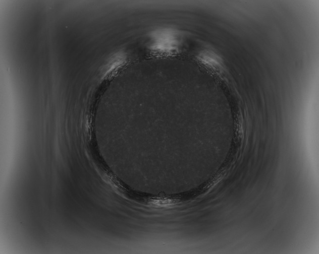 X0000086090759200704132125