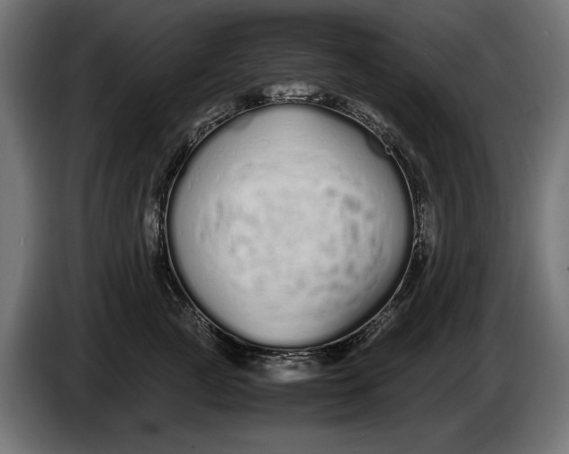 X0000086090761200704132125