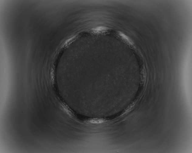 X0000086090762200704132125