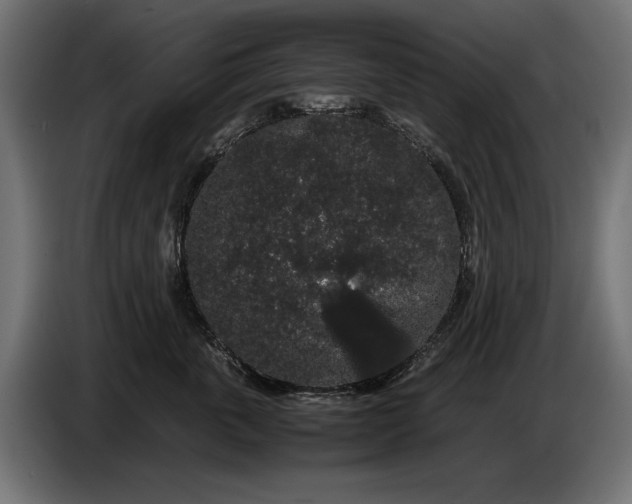 X0000086090763200704132125